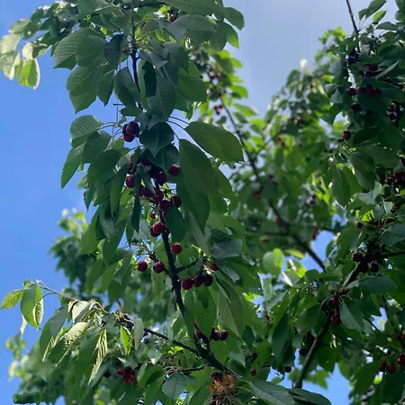 Wiejskie Marzenie Marianowo (West Pomeranian)